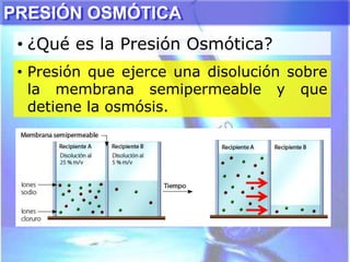 PRESIÓN OSMÓTICA
• Presión que ejerce una disolución sobre
la membrana semipermeable y que
detiene la osmósis.
• ¿Qué es la Presión Osmótica?
 