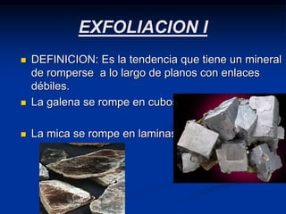 EXFOLIACION I
 DEFINICION: Es la tendencia que tiene un mineral
de romperse a lo largo de planos con enlaces
débiles.
 La galena se rompe en cubos a
 La mica se rompe en laminas.
 