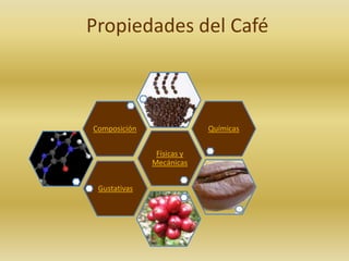 Propiedades del Café



Composición                Químicas


               Físicas y
              Mecánicas


 Gustativas
 