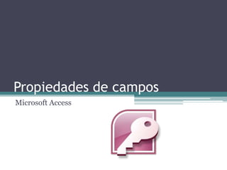 Propiedades de campos Microsoft Access 