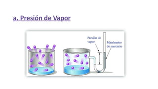 a. Presión de Vapor
 