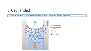 c. Capilaridad
Fuerza de adhesión de un fluido liquido sobre un solido debido a la tensión superficial.
 