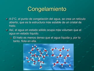 Congelamiento
A 0°C, el punto de congelación del agua, se crea un retículo
abierto, que es la estructura más estable de un cristal de
hielo.
Así, el agua en estado sólido ocupa más volumen que el
agua en estado líquido.
 El hielo es menos denso que el agua líquida y, por lo
tanto, flota en ella.
 