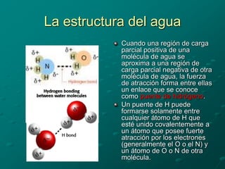 La estructura del agua
Cuando una región de carga
parcial positiva de una
molécula de agua se
aproxima a una región de
carga parcial negativa de otra
molécula de agua, la fuerza
de atracción forma entre ellas
un enlace que se conoce
como puente de hidrógeno.
Un puente de H puede
formarse solamente entre
cualquier átomo de H que
esté unido covalentemente a
un átomo que posee fuerte
atracción por los electrones
(generalmente el O o el N) y
un átomo de O o N de otra
molécula.
 