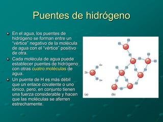 Puentes de hidrógeno
En el agua, los puentes de
hidrógeno se forman entre un
“vértice” negativo de la molécula
de agua con el “vértice” positivo
de otra.
Cada molécula de agua puede
establecer puentes de hidrógeno
con otras cuatro moléculas de
agua.
Un puente de H es más débil
que un enlace covalente o uno
iónico, pero, en conjunto tienen
una fuerza considerable y hacen
que las moléculas se aferren
estrechamente.
 