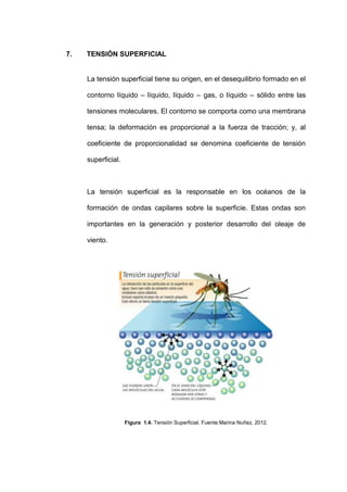7.   TENSIÓN SUPERFICIAL


     La tensión superficial tiene su origen, en el desequilibrio formado en el

     contorno líquido – líquido, líquido – gas, o líquido – sólido entre las

     tensiones moleculares. El contorno se comporta como una membrana

     tensa; la deformación es proporcional a la fuerza de tracción; y, al

     coeficiente de proporcionalidad se denomina coeficiente de tensión

     superficial.



     La tensión superficial es la responsable en los océanos de la

     formación de ondas capilares sobre la superficie. Estas ondas son

     importantes en la generación y posterior desarrollo del oleaje de

     viento.




                    Figura 1.4. Tensión Superficial. Fuente:Marina Nuñez, 2012.
 