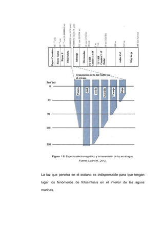 Figura 1.8. Espectro electromagnético y la transmisión de luz en el agua.
                              Fuente: Lizano R., 2012.




La luz que penetra en el océano es indispensable para que tengan

lugar los fenómenos de fotosíntesis en el interior de las aguas

marinas.
 