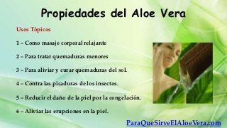 Propiedades del Aloe Vera
Usos Tópicos

1 – Como masaje corporal relajante

2 – Para tratar quemaduras menores

3 – Para aliviar y curar quemaduras del sol.

4 – Contra las picaduras de los insectos.

5 – Reducir el daño de la piel por la congelación.

6 – Aliviar las erupciones en la piel.

                                            ParaQueSirveElAloeVera.com
 
