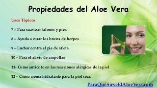 Propiedades del Aloe Vera
Usos Tópicos

7 – Para suavizar talones y pies.

8 – Ayuda a curar los brotes de herpes

9 – Luchar contra el pie de atleta

10 – Para el alivio de ampollas

11- Como antídoto en las reacciones alérgicas de la piel

12 – Como crema hidratante para la piel seca.

                                           ParaQueSirveElAloeVera.com
 