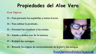 Propiedades del Aloe Vera
Usos Tópicos

13 – Para prevenir las espinillas y tratar el acné.

14 – Para calmar la psoriasis.

15 – Prevenir las cicatrices y las estrías.

16 – Ayuda a deshacerse de la rosácea.

17 – Reducir las verrugas.

18 – Revertir los signos de envejecimiento de la piel y las arrugas.

                                              ParaQueSirveElAloeVera.com
 