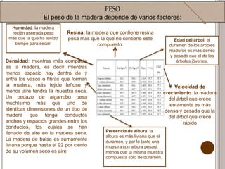 PESO
El peso de la madera depende de varios factores:
Resina: la madera que contiene resina
pesa más que la que no contiene este
compuesto.
Humedad: la madera
recién aserrada pesa
más que la que ha tenido
tiempo para secar.
Densidad: mientras más compacta
es la madera, es decir mientras
menos espacio hay dentro de y
entre los vasos o fibras que forman
la madera, más tejido leñoso y
menos aire tendrá la muestra seca.
Un pedazo de algarrobo pesa
muchísimo más que uno de
idénticas dimensiones de un tipo de
madera que tenga conductos
anchos y espacios grandes entre los
conductos, los cuales se han
llenado de aire en la madera seca.
La madera de balsa es sumamente
liviana porque hasta el 92 por ciento
de su volumen seco es aire.
Edad del árbol: el
duramen de los árboles
maduros es más denso
y pesado que el de los
árboles jóvenes.
Velocidad de
crecimiento: la madera
del árbol que crece
lentamente es más
densa y pesada que la
del árbol que crece
rápido
Presencia de albura: la
albura es más liviana que el
duramen, y por lo tanto una
muestra con albura pesará
menos que la misma muestra
compuesta sólo de duramen.
 