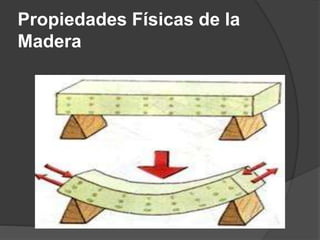 Propiedades Físicas de la
Madera
 