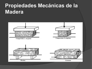 Propiedades Mecánicas de la
Madera
 