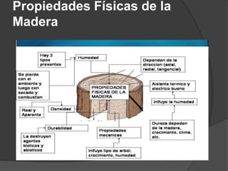 Propiedades Físicas de la
Madera
 