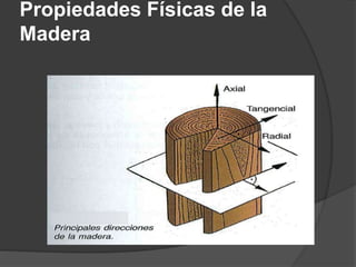 Propiedades Físicas de la
Madera
 
