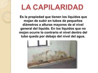 Es la propiedad que tienen los liquidos que
   mojan de subir en tubos de pequeños
  diámetros a alturas mayores de el nivel
general del liquido. En los liquidos que no
mojan ocurre lo contrario el nivel dentro del
 tubo queda por debajo del nivel del agua.
 