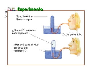 ¿Por qué sube el nivel
del agua del
recipiente?
Tubo invertido
lleno de agua
¿Qué está ocupando
este espacio?
Sopla por el tubo
ExperimentaExperimenta
 