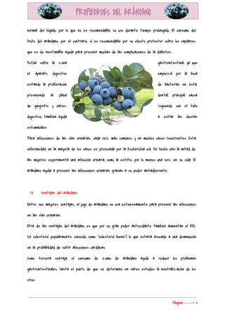  
normal del hígado, por lo que no es recomendable su uso durante tiempo prolongado. El consumo del                                 
fruto del arándano, por el contrario, sí es recomendable por su efecto protector sobre los capilares,                               
que es de inestimable ayuda para prevenir muchas de las complicaciones de la diabetes. 
Actúa sobre la zona        gastrointestinal, ya que     
el aparato digestivo      empieza por la boca       
evitando la proliferación      de bacterias en ésta,       
previniendo la placa      dental, principal causa     
de gingivitis y caries.        Siguiendo con el tubo       
digestivo, también ayuda      a evitar las úlceras       
estomacales. 
Para infecciones de las vías urinarias, cada vez más comunes y en muchos casos recurrentes. Esta                               
enfermedad en la mayoría de los casos es provocada por la Escherichia coli. De hecho casi la mitad de                                     
las mujeres experimenta una infección urinaria, como la cistitis, por lo menos una vez en su vida. El                                   
arándano ayuda a prevenir las infecciones urinarias gracias a su poder antiadherente. 
  
IV. Ventajas del arándano 
Entre sus mayores ventajas, el jugo de arándano se usa extensivamente para prevenir las infecciones                             
en las vías urinarias. 
Otra de las ventajas del arándano es que por su gran poder antioxidante también aumentan el HDL                                 
(el colesterol popularmente conocido como “colesterol bueno”) lo que estaría asociado a una disminución                           
en la probabilidad de sufrir afecciones cardíacas. 
Como tercera ventaja, el consumo de zumo de arándano ayudó a reducir los problemas                           
gastrointestinales, hasta el punto de que se determinó en varios estudios la neutralización de los                             
virus. 
Página​ ​-----> 4 
 