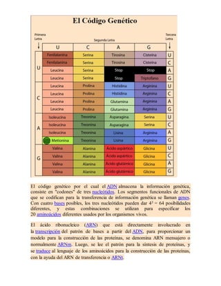 Propiedades de las celulas | DOCX