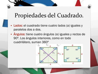 Propiedades del Cuadrado.
 Lados: el cuadrado tiene cuatro lados (a) iguales y
paralelos dos a dos.
 Ángulos: tiene cuatro ángulos (α) iguales y rectos de
90º. Los ángulos interiores, como en todo
cuadrilátero, suman 360º
 