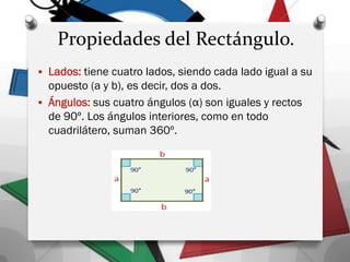 Propiedades del Rectángulo.
 Lados: tiene cuatro lados, siendo cada lado igual a su
opuesto (a y b), es decir, dos a dos.
 Ángulos: sus cuatro ángulos (α) son iguales y rectos
de 90º. Los ángulos interiores, como en todo
cuadrilátero, suman 360º.
 