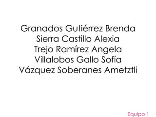 Granados Gutiérrez Brenda
Sierra Castillo Alexia
Trejo Ramírez Angela
Villalobos Gallo Sofía
Vázquez Soberanes Ametztli
Equipo 1
 
