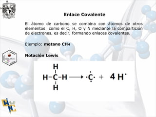 Enlace Covalente
El átomo de carbono se combina con átomos de otros
elementos como el C, H, O y N mediante la compartición
de electrones, es decir, formando enlaces covalentes.
Ejemplo: metano CH4
Notación Lewis
H
H
H
CH ×•
•
×
×
•
×• H
H
H
CH ×•
•
×
×
•
×•
 