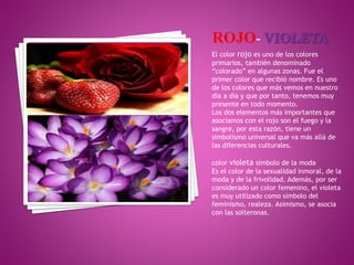 El color rojo es uno de los colores
primarios, también denominado
“colorado” en algunas zonas. Fue el
primer color que recibió nombre. Es uno
de los colores que más vemos en nuestro
día a día y que por tanto, tenemos muy
presente en todo momento.
Los dos elementos más importantes que
asociamos con el rojo son el fuego y la
sangre, por esta razón, tiene un
simbolismo universal que va más allá de
las diferencias culturales.
color violeta símbolo de la moda
Es el color de la sexualidad inmoral, de la
moda y de la frivolidad. Además, por ser
considerado un color femenino, el violeta
es muy utilizado como símbolo del
feminismo, realeza. Asimismo, se asocia
con las solteronas.
 