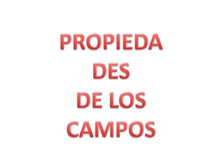 PROPIEDADES  DE LOS  CAMPOS 