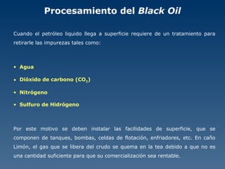 Procesamiento del  Black Oil Cuando el petróleo liquido llega a superficie requiere de un tratamiento para retirarle las impurezas tales como: Agua Dióxido de carbono (CO 2 ) Nitrógeno Sulfuro de Hidrógeno Por este motivo se deben instalar las facilidades de superficie, que se componen de tanques, bombas, celdas de flotación, enfriadores, etc. En caño Limón, el gas que se libera del crudo se quema en la tea debido a que no es una cantidad suficiente para que su comercialización sea rentable. 