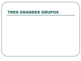 TRES GRANDES GRUPOS
 
