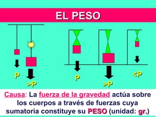 EL PESOEL PESO
PP
>P>P
Causa: La fuerza de la gravedad actúa sobre
los cuerpos a través de fuerzas cuya
sumatoria constituye su PESOPESO (unidad: gr.gr.)
PP
>P>P
<P<P
 