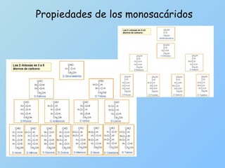 Propiedades de los monosacáridos 