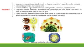  Los seres vivos captan los cambios del medio en el que se encuentran y responden a estos estímulos,
 Estos cambios, provocan respuestas en ellos.
 Los animales tienen órganos de los sentidos que les permiten percibir una serie de estímulos.
 Las plantas detectan estímulos y responden a ellos; por ejemplo, los tallos crecen hacia la luz y las
raíces se introducen en el suelo en busca de agua.
 Ciertos mosquitos tienen sensores que detectan el dióxido de carbono que producimos las personas al
respirar, y se dirigen en esta dirección para picar a la persona que lo produce.
Irritabilidad
 
