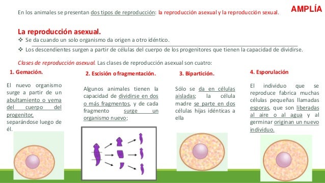 Propiedades de los seres vivos