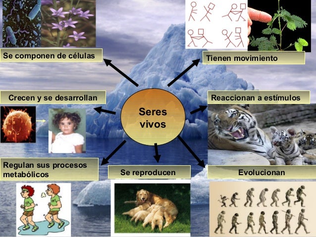 Propiedades de los seres vivos II 27 marzo 2015