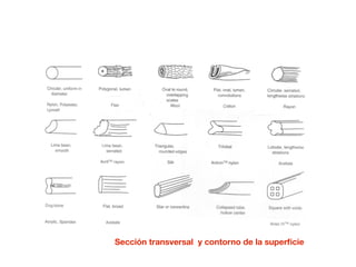 Sección transversal y contorno de la superﬁcie
 