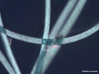 Poliéster reciclado
 