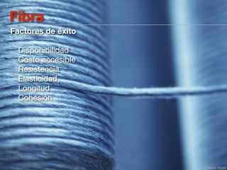 Fibra
Factores de éxito

  Disponibilidad
  Costo accesible
  Resistencia
  Elasticidad,
  Longitud
  Cohesión
 