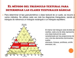 EL MÉTODO DEL TRIÁNGULO TEXTURAL PARA
DETERMINAR LAS CLASES TEXTURALES BÁSICAS
 Para determinar el tipo granulométrico o clase textural de un suelo, se recurre a
varios métodos. Se utilizan cada vez más los diagramas triangulares, siendo el
triángulo de referencia un triángulo rectángulo o un triángulo equilátero.
El interior del triángulo está dividido en
casillas, cada una de ellas representa
una clase textural de suelo
caracterizado por las proporciones de
uno o de dos elementos dominantes;
suelos
arenosos, limosos, arcillosos, arcillo
arenosos, etc.
 