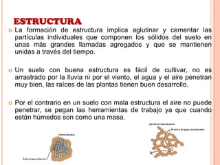 ESTRUCTURA
 La formación de estructura implica aglutinar y cementar las
partículas individuales que componen los sólidos del suelo en
unas más grandes llamadas agregados y que se mantienen
unidas a través del tiempo.
 Un suelo con buena estructura es fácil de cultivar, no es
arrastrado por la lluvia ni por el viento, el agua y el aire penetran
muy bien, las raíces de las plantas tienen buen desarrollo.
 Por el contrario en un suelo con mala estructura el aire no puede
penetrar, se pegan las herramientas de trabajo ya que cuando
están húmedos son como una masa.
 