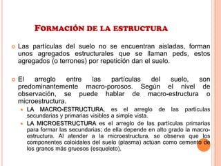 FORMACIÓN DE LA ESTRUCTURA
 Las partículas del suelo no se encuentran aisladas, forman
unos agregados estructurales que se llaman peds, estos
agregados (o terrones) por repetición dan el suelo.
 El arreglo entre las partículas del suelo, son
predominantemente macro-porosos. Según el nivel de
observación, se puede hablar de macro-estructura o
microestructura.
 LA MACRO-ESTRUCTURA, es el arreglo de las partículas
secundarias y primarias visibles a simple vista.
 LA MICROESTRUCTURA es el arreglo de las partículas primarias
para formar las secundarias; de ella depende en alto grado la macro-
estructura. Al atender a la microestructura, se observa que los
componentes coloidales del suelo (plasma) actúan como cemento de
los granos más gruesos (esqueleto).
 