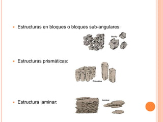  Estructuras en bloques o bloques sub-angulares:
 Estructuras prismáticas:
 Estructura laminar:
 