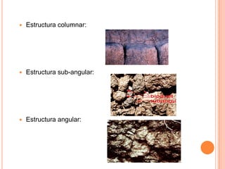  Estructura columnar:
 Estructura sub-angular:
 Estructura angular:
 