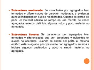  Estructura moderada: Se caracteriza por agregados bien
formados y diferenciados de duración moderada, y evidentes
aunque indistintos en suelos no alterados. Cuando se extrae del
perfil, el material edáfico se rompe en una mezcla de varios
agregados enteros distintos, algunos rotos y poco material no
agregado;
 Estructura fuerte: Se caracteriza por agregados bien
formados y diferenciados que son duraderos y evidentes en
suelos no alterados. Cuando se extrae del perfil, el material
edáfico está integrado principalmente por agregados enteros e
incluye algunos quebrados y poco o ningún material no
agregado.
 