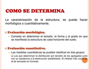 COMO SE DETERMINA
La caracterización de la estructura, se puede hacer
morfológica o cuantitativamente.
 Evaluación morfológica.
 Consiste en determinar el tamaño, la forma y el grado en que
se manifiesta la estructura de cada horizonte del suelo.
 Evaluación cuantitativa.
 Las medidas cuantitativas se pueden clasificar en tres grupos:
a) Las que determinan la distribución por tamaño de los agregados junto
con su resistencia a la destrucción (estabilidad). El método más usado es
el de tamizado en húmedo.
 