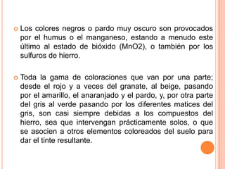  Los colores negros o pardo muy oscuro son provocados
por el humus o el manganeso, estando a menudo este
último al estado de bióxido (MnO2), o también por los
sulfuros de hierro.
 Toda la gama de coloraciones que van por una parte;
desde el rojo y a veces del granate, al beige, pasando
por el amarillo, el anaranjado y el pardo, y, por otra parte
del gris al verde pasando por los diferentes matices del
gris, son casi siempre debidas a los compuestos del
hierro, sea que intervengan prácticamente solos, o que
se asocien a otros elementos coloreados del suelo para
dar el tinte resultante.
 