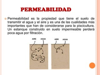 PERMEABILIDAD
 Permeabilidad es la propiedad que tiene el suelo de
transmitir el agua y el aire y es una de las cualidades más
importantes que han de considerarse para la piscicultura.
Un estanque construido en suelo impermeable perderá
poca agua por filtración.
 
