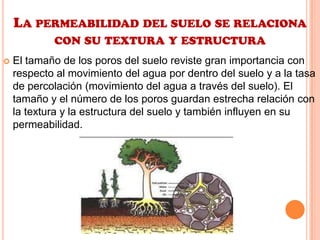 LA PERMEABILIDAD DEL SUELO SE RELACIONA
CON SU TEXTURA Y ESTRUCTURA
 El tamaño de los poros del suelo reviste gran importancia con
respecto al movimiento del agua por dentro del suelo y a la tasa
de percolación (movimiento del agua a través del suelo). El
tamaño y el número de los poros guardan estrecha relación con
la textura y la estructura del suelo y también influyen en su
permeabilidad.
 