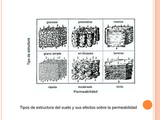 Tipos de estructura del suelo y sus efectos sobre la permeabilidad
 